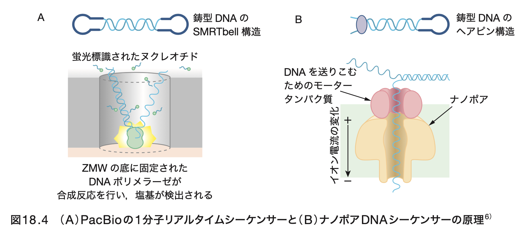 説明的なテキスト